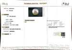 Load image into Gallery viewer, 11.98/CT South Sea Pearl with Govt. Lab Certificate-1550