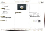 Load image into Gallery viewer, 9.07/CT South Sea Pearl with Govt. Lab Certificate-1550