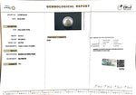 Load image into Gallery viewer, 16.33/CT South Sea Pearl with Govt. Lab Certificate-1550