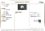 Load image into Gallery viewer, 23.65/CT South Sea Pearl with Govt. Lab Certificate-1550