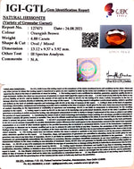 Load image into Gallery viewer, 4.88/CT Natural Govt. Lab Certified Ceylonese Gomed-(1221)