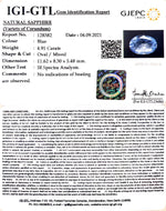 Load image into Gallery viewer, 4.91/CT Nature Neelam with Govt Lab Certificate-BLUSA9W