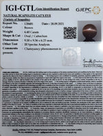 Load image into Gallery viewer, 4.88 Ratti Natural Scapolite Cat's Eye with Govt. Lab Certified-(1221)