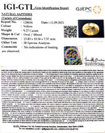 Load image into Gallery viewer, 9.27 Carat Natural Ceylonese Pukhraj with Govt Lab Certificate-(12210)