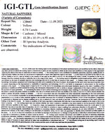 Load image into Gallery viewer, 6.74/CT Natural Ceylonese Pukhraj with Govt Lab Certificate-YELSA9U