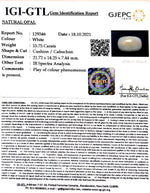 Load image into Gallery viewer, 15.75/CT Natural Fire Opal with Govt. Lab Certificate-4551