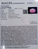 Load image into Gallery viewer, 4.53 Ratti Natural New Burma Ruby with Govt. Lab Certificate (5661)