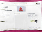 5.71/CT Natural Red Coral With Govt. Lab Certificate