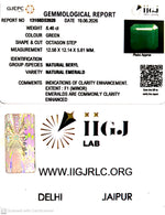 Load image into Gallery viewer, 8.46/CT Natural Panna Stone with Govt. Lab Certificate-13108D53929