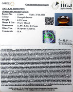 Load image into Gallery viewer, 4.02/CT Natural Govt. Lab Certified Ceylonese Gomed-(1221)