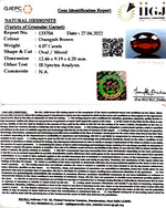Load image into Gallery viewer, 4.07/CT Natural Govt. Lab Certified Ceylonese Gomed-(1221)