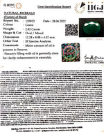 Load image into Gallery viewer, 2.82/CT Natural Panna Stone with Govt. Lab Certified (3441)