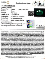 Load image into Gallery viewer, 7.65/CT Natural Panna Stone with Govt. Lab Certified-(8991)