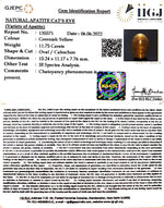 Load image into Gallery viewer, 11.75/CT Natural Apatite Cat's Eye with Govt. Lab certified-1221