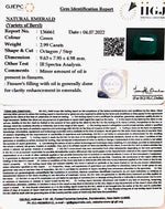 Load image into Gallery viewer, 2.99/CT Natural Panna Stone with Govt. Lab Certified-8991