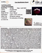 Load image into Gallery viewer, 9.34/CT Natural Mozambique Ruby with Govt. Lab Certificate-(12210)