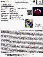 Load image into Gallery viewer, 6.77/CT Natural Mozambique Ruby with Govt. Lab Certificate-7881