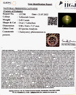 Load image into Gallery viewer, 5.45/CT Natural Prehnite cats eye with Govt. Lab certified-(1221)