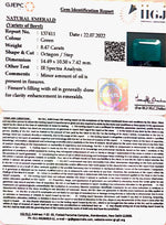 Load image into Gallery viewer, 8.47/CT Natural Panna Stone with Govt. Lab Certified-(6771)