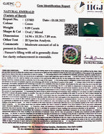 Load image into Gallery viewer, 9.09 Carat Natural Panna Stone with Govt. Lab Certified-12210