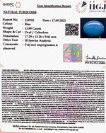 Load image into Gallery viewer, 13.89 Carat Turquoise-(832)