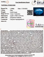 Load image into Gallery viewer, 36.202 Carat Turquoise-(1221)