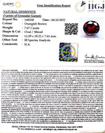 Load image into Gallery viewer, 7.67/CT Natural Govt. Lab Certified Ceylonese Gomed-(1221)