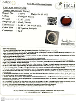 Load image into Gallery viewer, 12.13/CT Natural Hessonite Stone with Govt. Lab Certificate-140370
