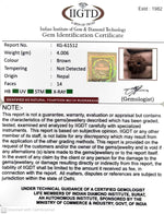 Load image into Gallery viewer, 4.000 Gram Natural 14 Mukhi Rudraksha with Govt. Lab Certificate-KG61512