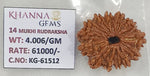 Load image into Gallery viewer, 4.000 Gram Natural 14 Mukhi Rudraksha with Govt. Lab Certificate-KG61512