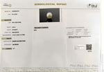 Load image into Gallery viewer, 9.39/CT Natural South Sea Pearl With Lab Certificate (1550)