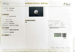 Load image into Gallery viewer, 7.75/CT Natural South Sea Pearl With Lab Certificate (1550)