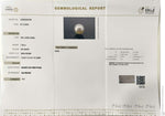 Load image into Gallery viewer, 7.69/CT Natural South Sea Pearl With Lab Certificate (1550)