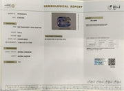 5.64/CT Natural Blue Sapphire with Govt Lab Certificate-16709S208978