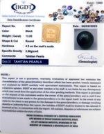 Load image into Gallery viewer, 13.05/CT Natural Tahitian Pearl With Lab Certificate-(1332)