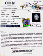 Load image into Gallery viewer, Keshi Pearl-1650