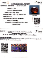 Load image into Gallery viewer, 6.77/CT Natural Govt. Lab Certified Ceylonese Gomed-(1221)