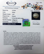 Load image into Gallery viewer, KESHI PERAL-231024-1665-5.25