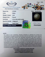 Load image into Gallery viewer, KESHI PERAL-231025-1665-5.20