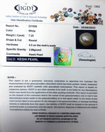 Load image into Gallery viewer, KESHI PERAL-231026-1665-7.25