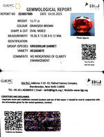 Load image into Gallery viewer, 13.77/CT Natural Govt. Lab Certified Ceylonese Gomed-(1221