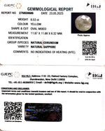 Load image into Gallery viewer, 8.53/CT Natural Ceylonese Pukhraj with Govt Lab Certificate-6771