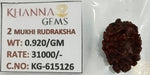 Load image into Gallery viewer, 0.920 Gram Natural Two Mukhi Rudraksha with Govt. Lab Certificate-KG615126