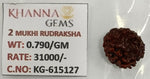 Load image into Gallery viewer, 0.790 Gram Natural Two Mukhi Rudraksha with Govt. Lab Certificate-KG615127