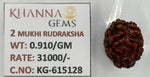 Load image into Gallery viewer, 0.910 Gram Natural Two Mukhi Rudraksha with Govt. Lab Certificate-KG615128