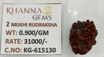 Load image into Gallery viewer, 0.900 Gram Natural Two Mukhi Rudraksha with Govt. Lab Certificate-KG615130