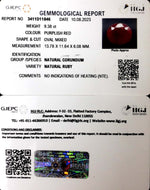 Load image into Gallery viewer, 9.38/CT Natural Neo Burma Ruby with Govt. Lab Certificate (5661)