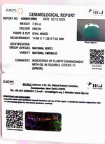 Load image into Gallery viewer, 7.53/CT Natural Panna Stone with Govt. Lab Certificate  (6771)