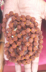 Load image into Gallery viewer, FIVE MUKHI RUDRAKSHA MALA (200)