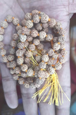 Load image into Gallery viewer, FIVE MUKHI RUDRAKSHA MALA (500)
